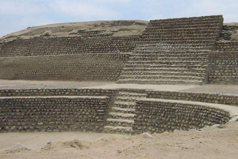 Excursion d&#039;une journée à Caral et Bandurria