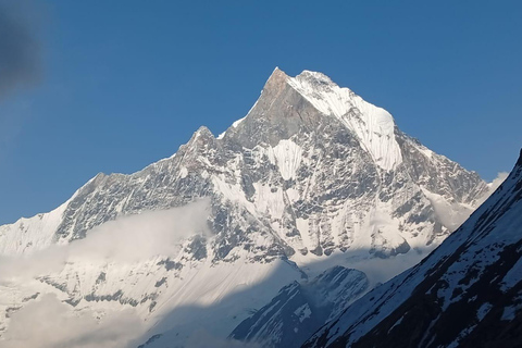Pokhara: 7-Day Annapurna Base Camp Express Trek