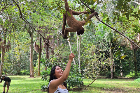 Iquitos: Dia inteiro de visita à Ilha dos Macacos (Oficial)