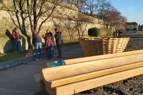 Juego urbano navideño en Wurzburgo con Glühwein y dinámica de grupoJuego navideño en la ciudad de Wurzburgo con Glühwein y dinámica de grupo