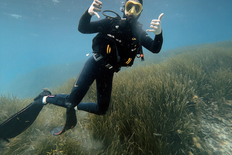 Malte : Baptême de plongée sous-marine en Français