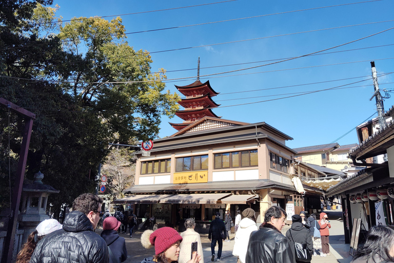 Hiroshima: 5.5-Hour Highlights Tour with Professional guide