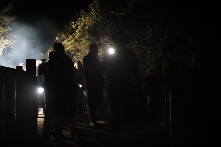 Orlando: Gatorland Taschenlampentour bei Nacht