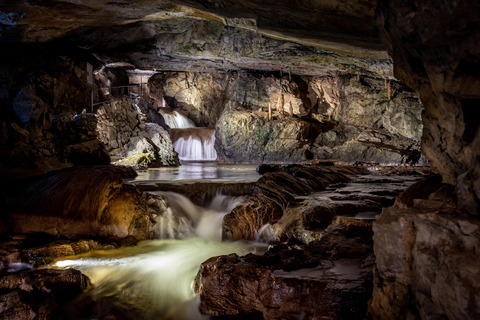 Beatenberg: Biglietto d&#039;ingresso alle Grotte di Beatus con museoBeatenberg: Biglietto d&#039;ingresso alle grotte di Beatus con museo