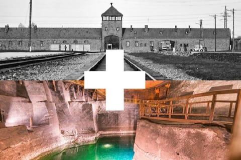 Auschwitz-Birkenau and Wieliczka Salt Mine guided tour from Krakow