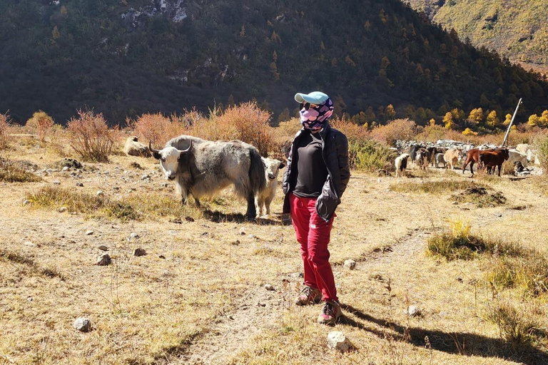 Trekking di 5 giorni sul Gosaikunda: un viaggio verso i laghi sacri