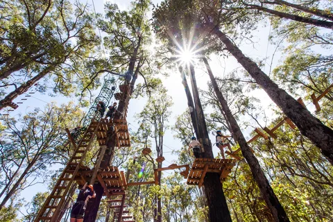 Dwellingup: Curso de Cordas em Árvores