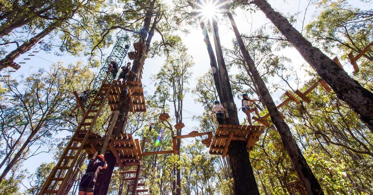 Dwellingup: Tree Ropes Course | GetYourGuide