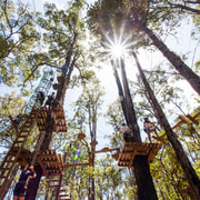 Dwellingup: Tree Ropes Course
