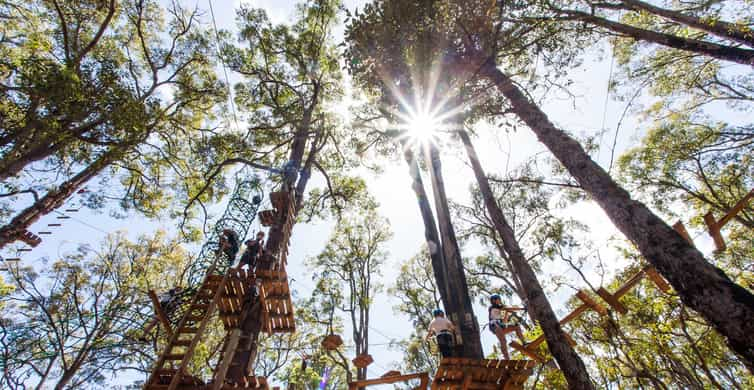 Dwellingup: Tree Ropes Course