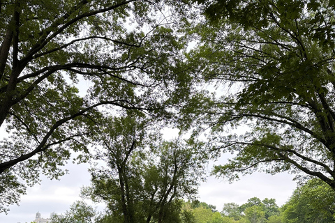 NYC : Visite guidée de Central Park en cyclo-pousse