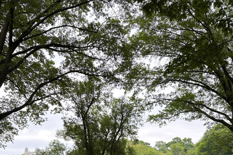 NYC : Visite guidée de Central Park en cyclo-pousse