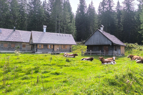 Salzkammergut: Geführte E-Bike Tour auf die Almen in Gosau und Hallstatt