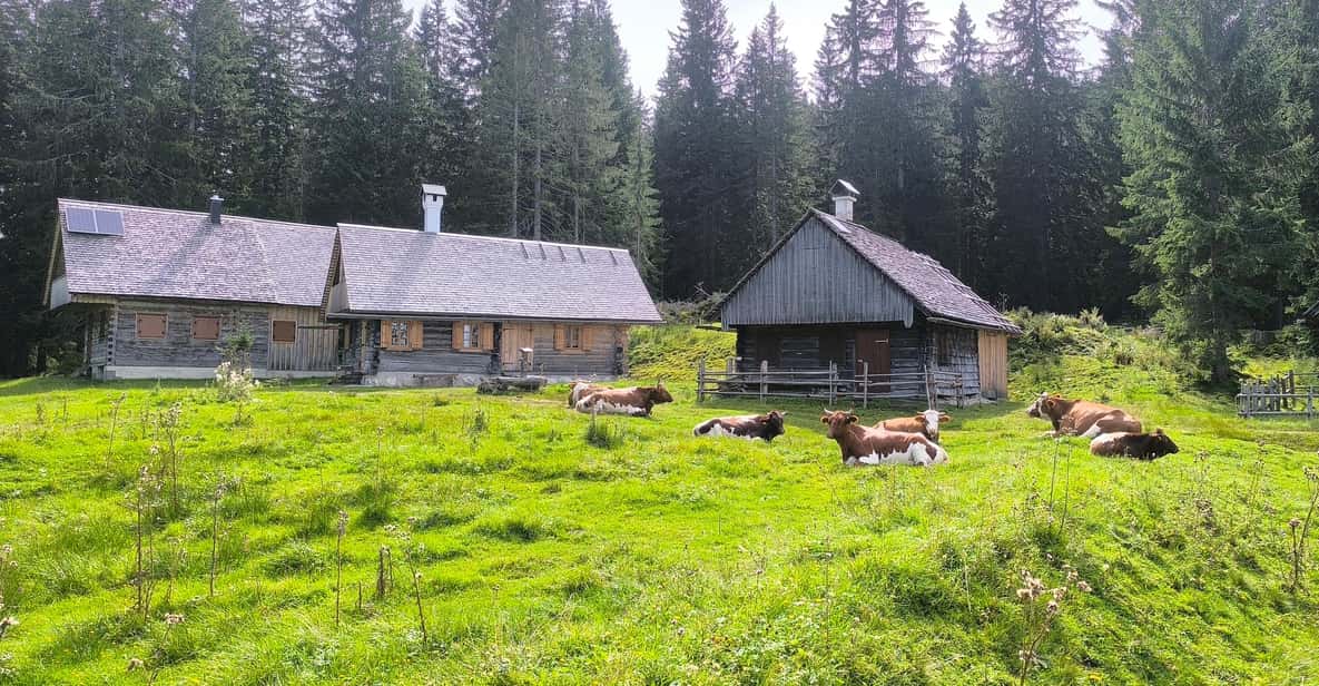 Afbeelding 11 van Salzkammergut: begeleide e-biketocht naar de alpenweiden in Gosau en Hallstatt