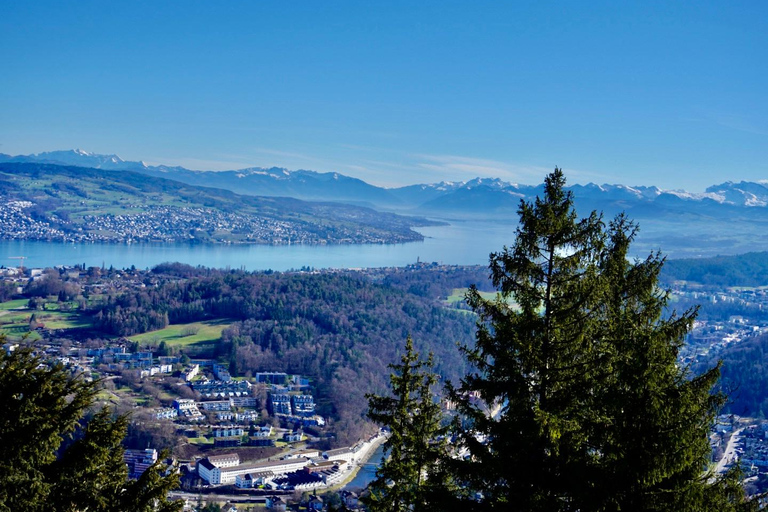 Zurich 2 Funicular secret with 2 Panoramic Views same day