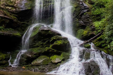 1 Day Materuni Waterfalls, Coffee Tour & Picnic Hot Lunch