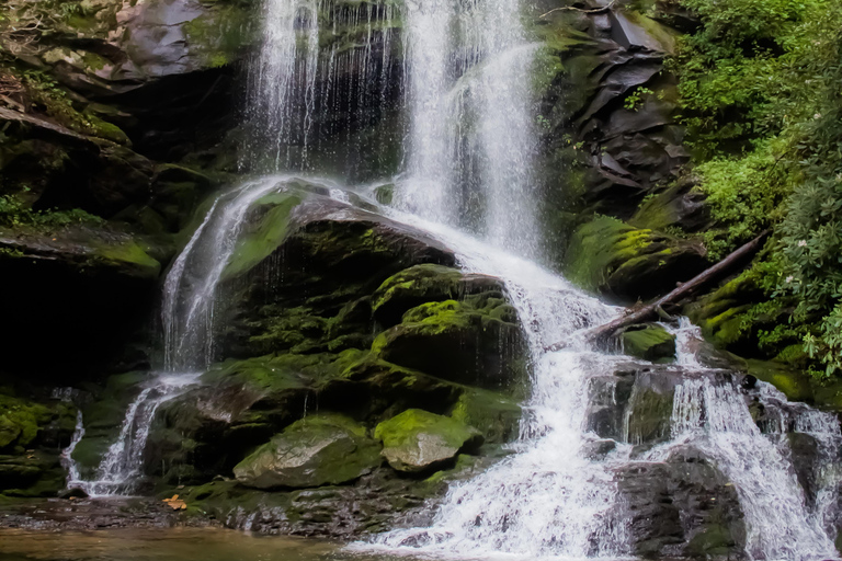 1 Day Materuni Waterfalls, Coffee Tour & Picnic Hot Lunch