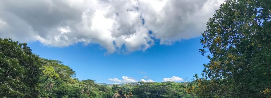 Visite d'une jounée avec chauffeur personnel