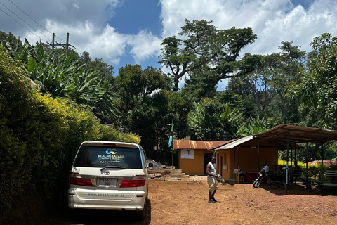 Moshi/Arusha: Chemka Hot Springs Materuni Waterfall Day tour 2 in 1 : Materuni & Chemka tour from Moshi