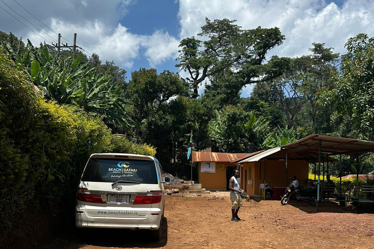 Moshi/Arusha: Chemka Hot Springs Materuni Waterfall Day tour 2 in 1 : Materuni & Chemka tour from Moshi