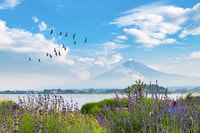 Desde Tokio, Tour privado de 1 día del monte Fuji en coche - Hizvo