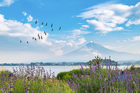 Van Tokio: 1-daagse privé Mt. Fuji Tour met de autoVan Tokio: 1-daagse privé Mt. Fuji-tour met chauffeur