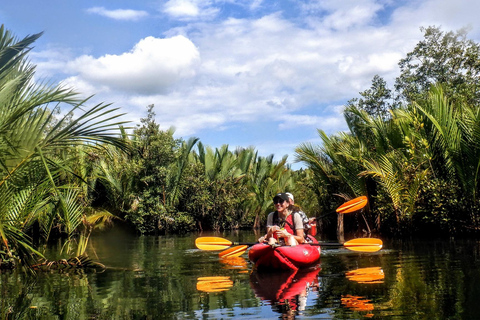 From Tagbilaran City/Panglao Island: Bohol Mangrove Kayaking