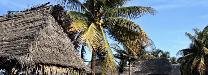 Depuis Copan : Transfert partagé aller simple vers La Ceiba