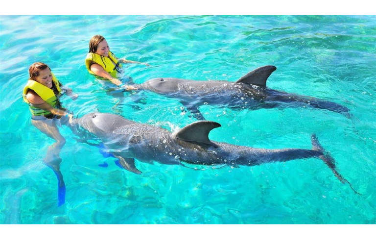Punta Cana: Punta Cana Dolphin Encounter + Sea Lion Kiss Punta Cana: Dolphin Explore Swims and Encounters