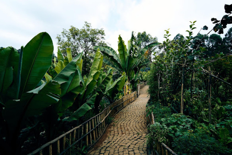 Addis Ababa: Zoma Museum Art and Architecture Guided Tour
