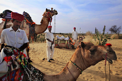 Jodhpur: Luksusowa wyprawa na pustynię z jazdą na wielbłądzie i ucztąJodhpur: luksusowa wyprawa na pustynię z jazda na wielbłądzie i ucztą