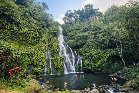 Bali: Shore Excursion Cruise Ship From Celukan Bawang Port Customize Your Own Itinerary (Not Include Entrance Tickets)