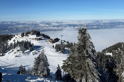 Desde Bucarest: Excursión de un día para esquiar en Poiana Brasov