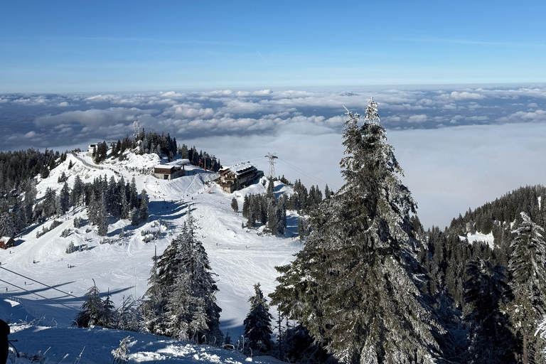 Desde Bucarest: Excursión de un día para esquiar en Poiana Brasov