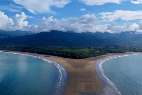 Costa Rica: Tour particular para observação de golfinhos e baleias em Uvita