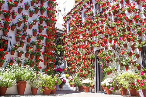 Sevilla: Tour naar Cordoba en Moskee Kathedraal