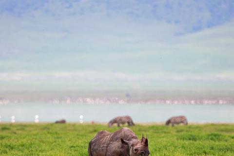 Lake Manyara NP e Cratera de Ngorongoro: Safári de 2 dias