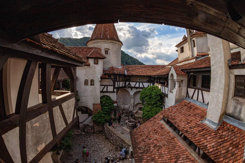 Brașov: Dracula's Castle, Bear Sanctuary, & Cave Tour