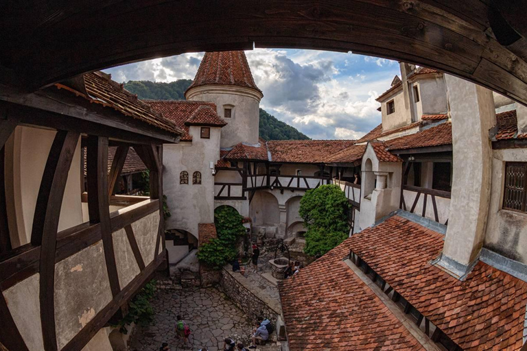 Brașov: Dracula's Castle, Bear Sanctuary, & Cave Tour