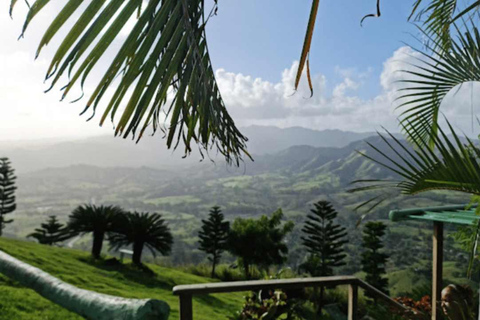 Punta Cana: Excursão à Montaña Redonda com almoço e passeio de 4x4