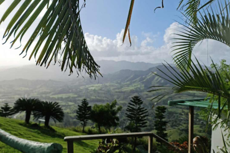 Punta Cana: Excursão à Montaña Redonda com almoço e passeio de 4x4