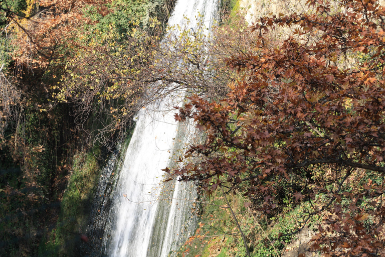 Tbilisi: Top to Bottom - Gardens, Waterfalls & Hidden Gems Small Group - Gardens, Waterfalls & Hidden Gems