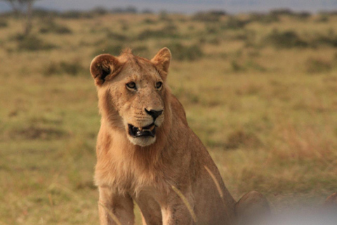 From Nairobi: Hell's Gate National Park & Lake Naivasha Tour