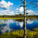 Campagna estone e Lahemaa: gita di 1 giorno da Tallinn