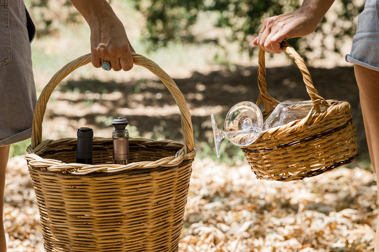 Picnic Wine Tasting by the River in Nemea region