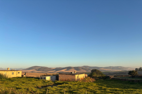Cape Town: Mountain View Horse Trail Ride Experience 2 Hour