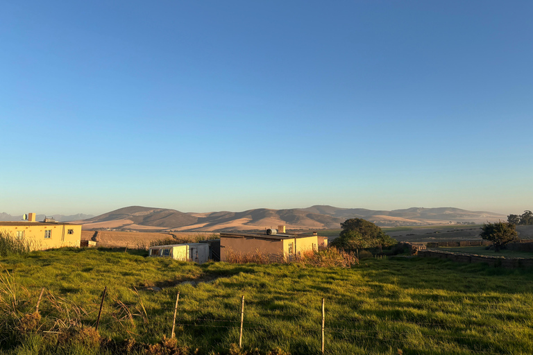 Cape Town: Mountain View Horse Trail Ride Experience 2 Hour