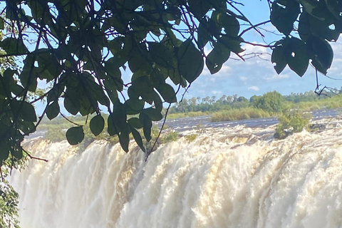 Victoria Falls: Private leisure Tour with Rainforest Trails