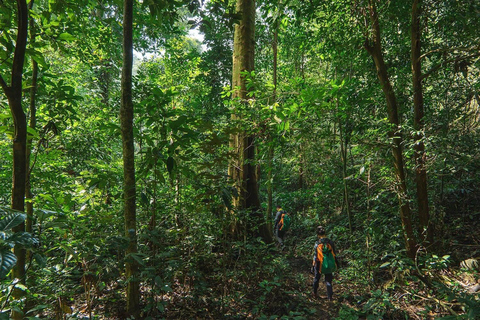 Munduk: Twin Lakes Jungle Hike with Lake Canoe and Waterfall From Munduk area : Private Tour