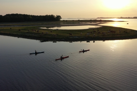 Roskilde: Paseo guiado en kayak por el fiordo de Roskilde: Excursión al atardecer